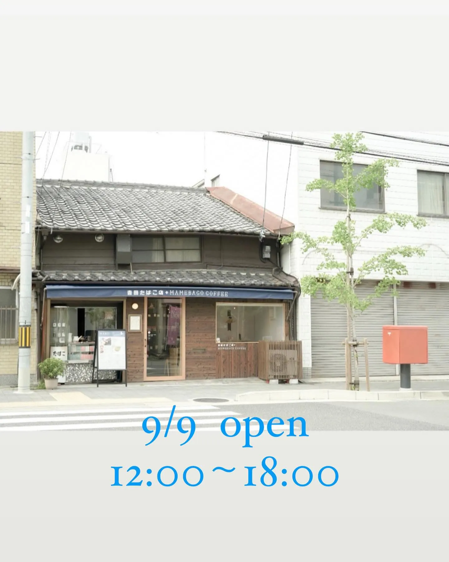 9月なのに、今日も暑そうです。