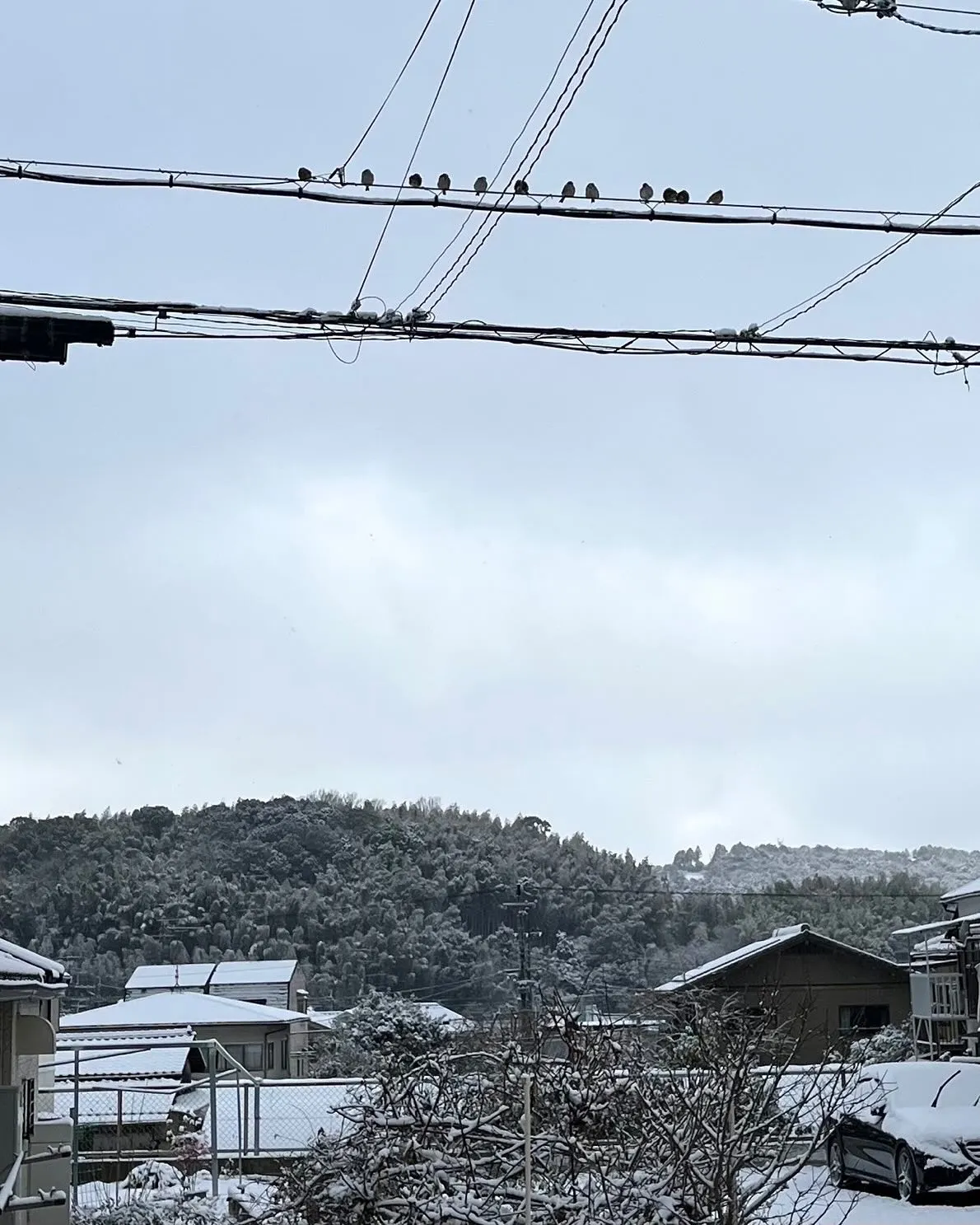 積雪のため、本日臨時休業。