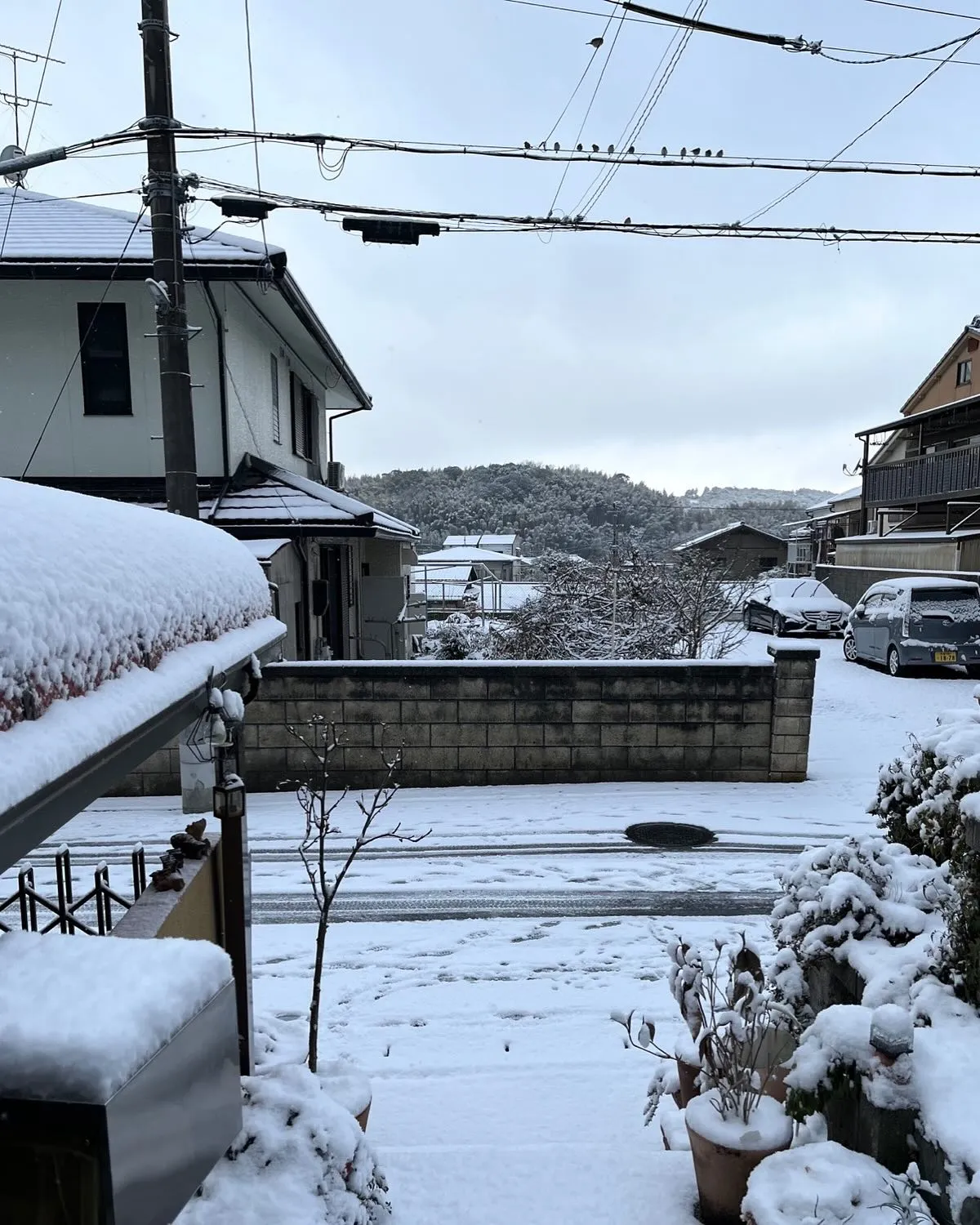 積雪のため、本日臨時休業。